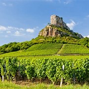 Vinregionen Beaujolais